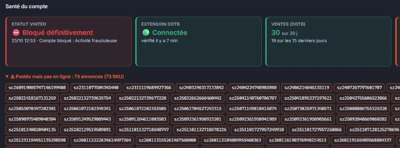 Capture de la santé d'un compte Vinted : statut, extension DotB connectée, ventes, annonces en ligne et annonces masquées
